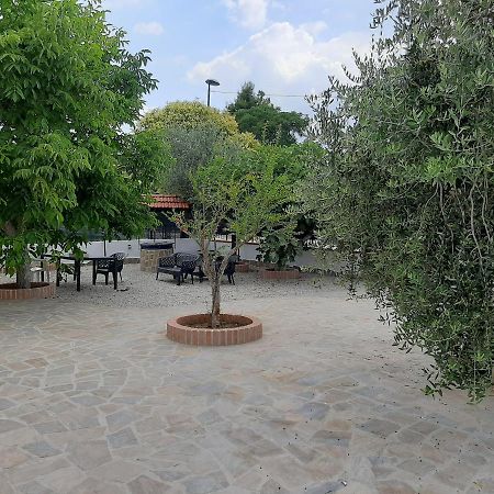 La Casa Di Ely Apartamento Agropoli Exterior foto